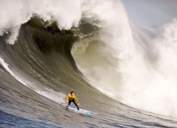 中国竞猜官网_巴尔博扎闪击建功，布拉甘蒂诺半场1-0领先桑托斯占据先机