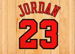 中国体育竞彩网首页|哈达斯点射一锤定音 卢卡斯失点留憾 津门虎主场两球完胜浙江