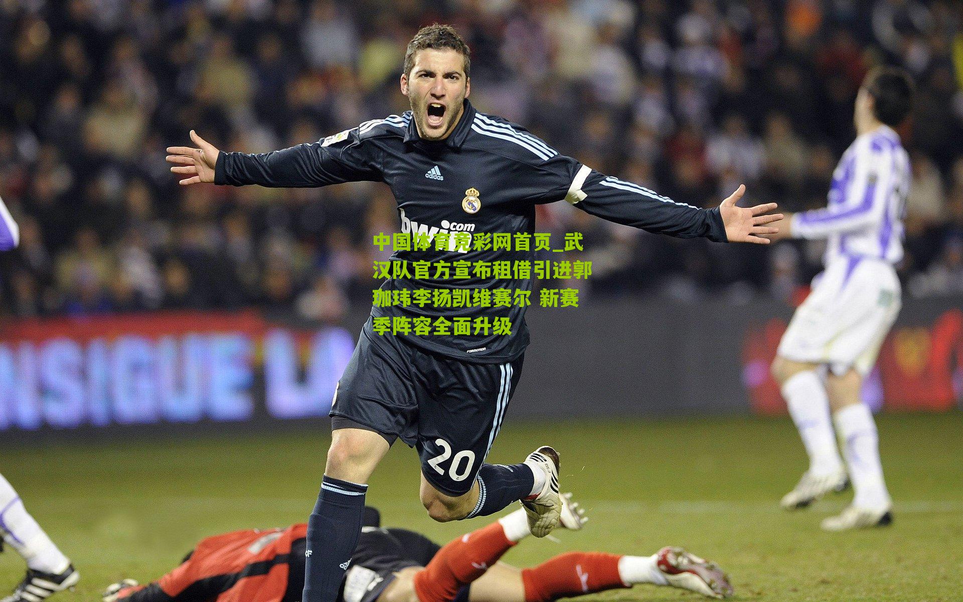 武汉队官方宣布租借引进郭珈玮李扬凯维赛尔 新赛季阵容全面升级